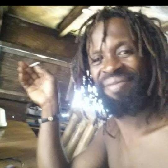 ベッドアンドブレックファースト Port Antonio Brian S Beach House