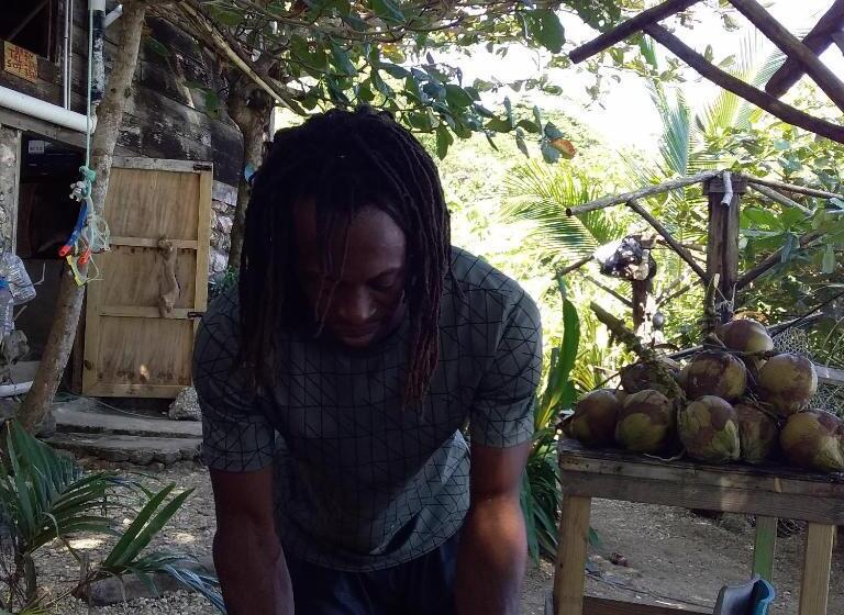 ベッドアンドブレックファースト Port Antonio Brian S Beach House