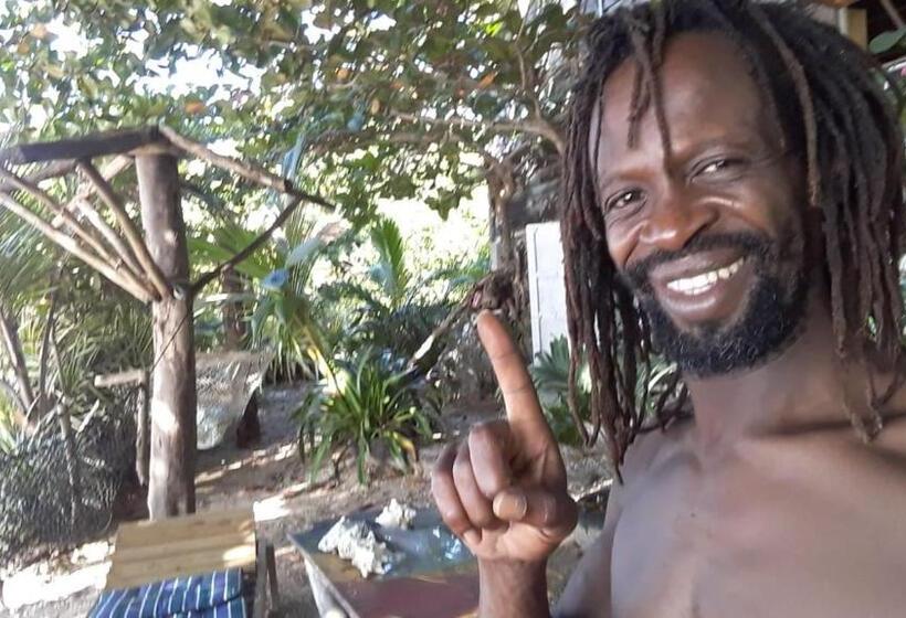 ベッドアンドブレックファースト Port Antonio Brian S Beach House