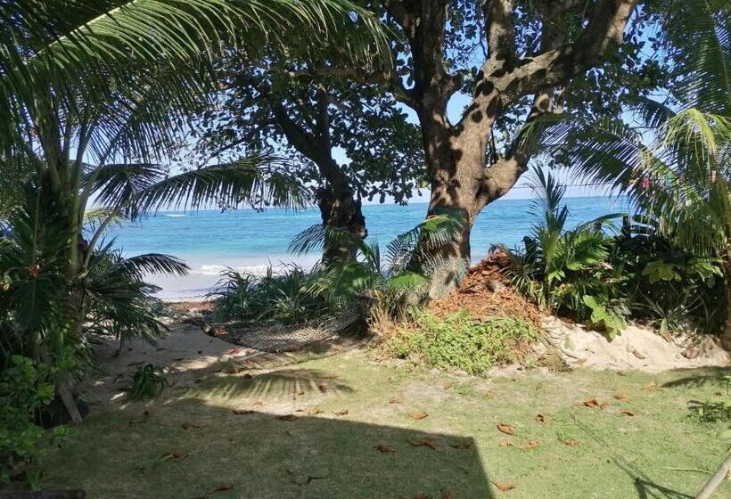 ベッドアンドブレックファースト Port Antonio Brian S Beach House