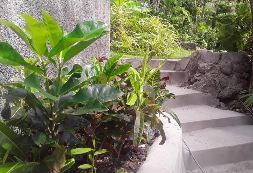 ベッドアンドブレックファースト Port Antonio Brian S Beach House