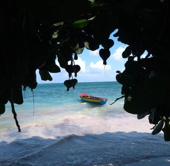 ベッドアンドブレックファースト Port Antonio Brian S Beach House