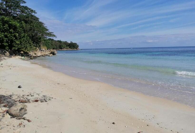 ベッドアンドブレックファースト Port Antonio Brian S Beach House