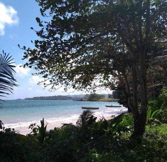 ベッドアンドブレックファースト Port Antonio Brian S Beach House