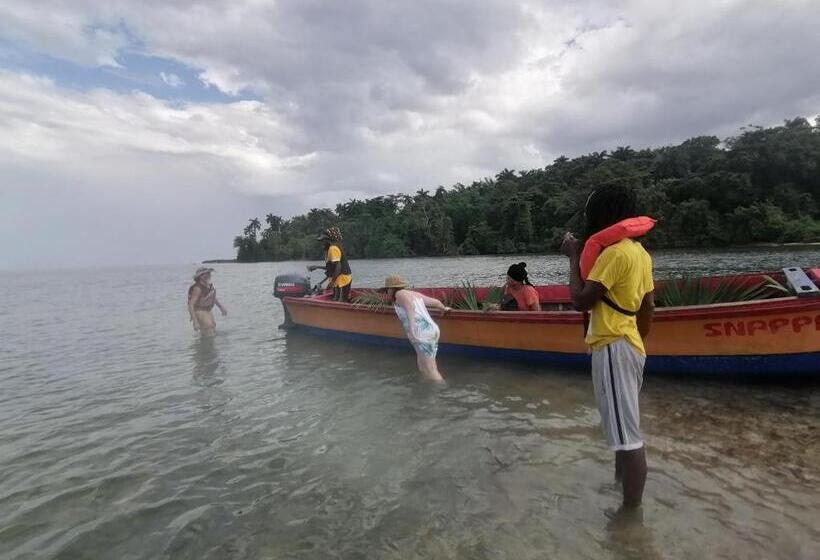 ベッドアンドブレックファースト Port Antonio Brian S Beach House