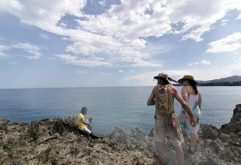 ベッドアンドブレックファースト Port Antonio Brian S Beach House