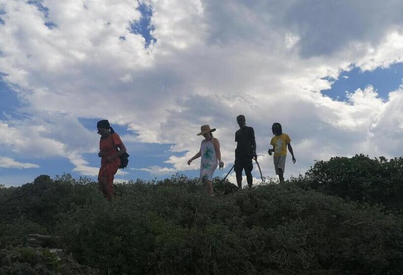 ベッドアンドブレックファースト Port Antonio Brian S Beach House