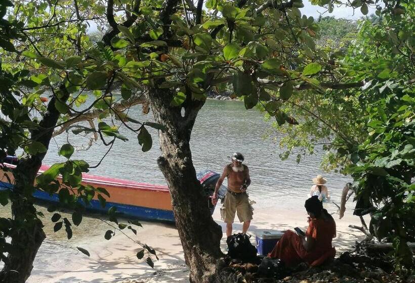 ベッドアンドブレックファースト Port Antonio Brian S Beach House