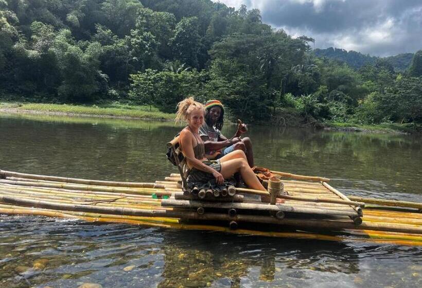 ベッドアンドブレックファースト Port Antonio Brian S Beach House