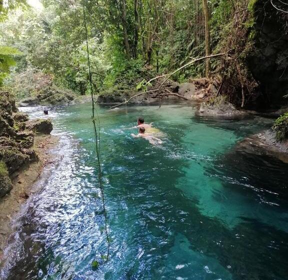 ベッドアンドブレックファースト Port Antonio Brian S Beach House