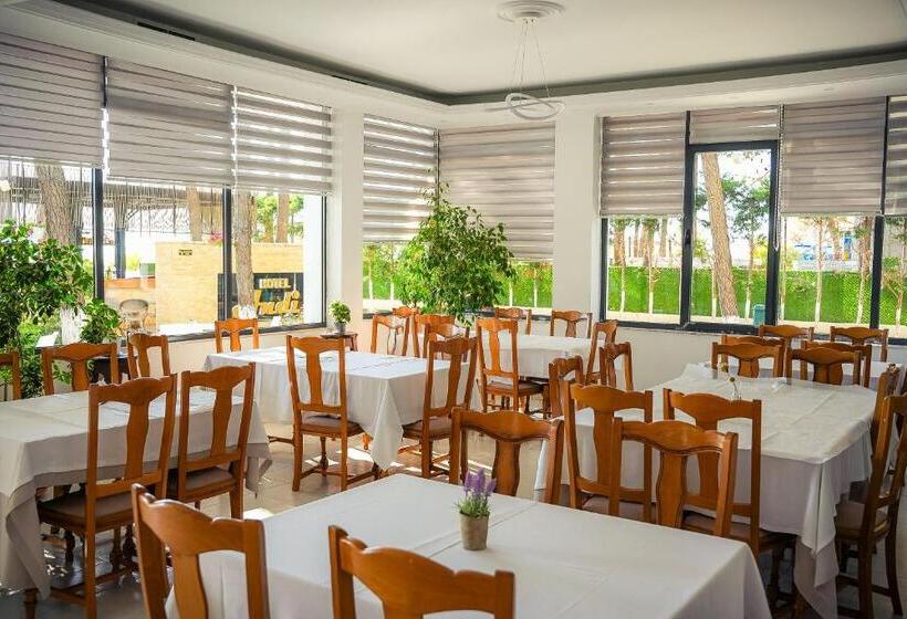 בית מלון כפרי Andi