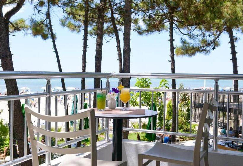 בית מלון כפרי Andi