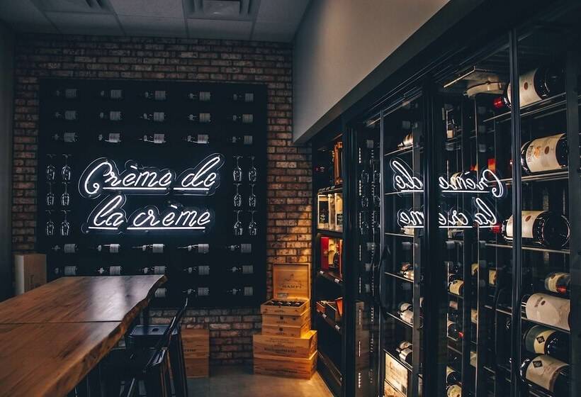 酒店 Canvas Moncton, Tapestry Collection By Hilton