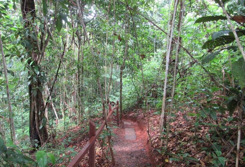 فندق Drake Bay Greenleaf