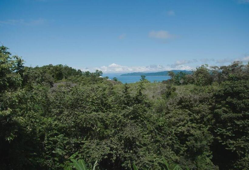 فندق Drake Bay Greenleaf