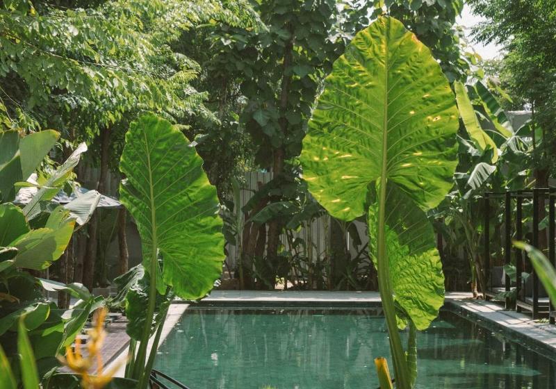 Larimar Hotel & Resort