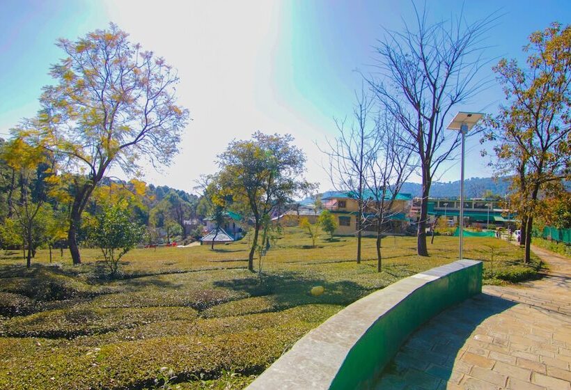 هتل Royal Green Buds