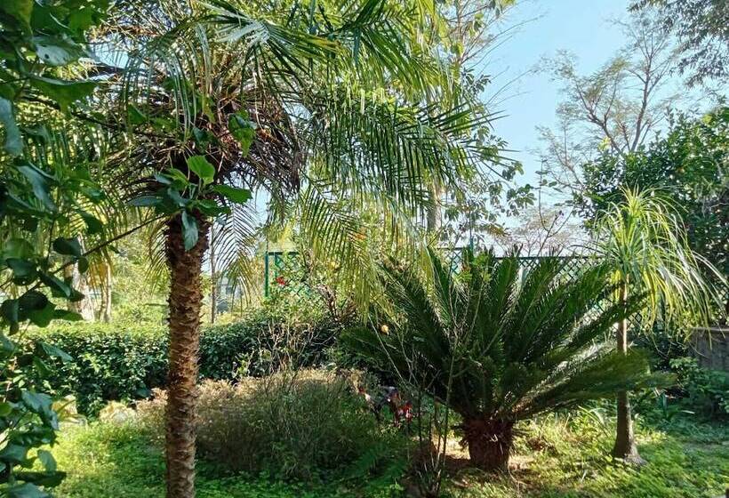 هتل Royal Green Buds