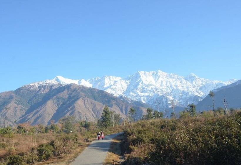 هتل Royal Green Buds