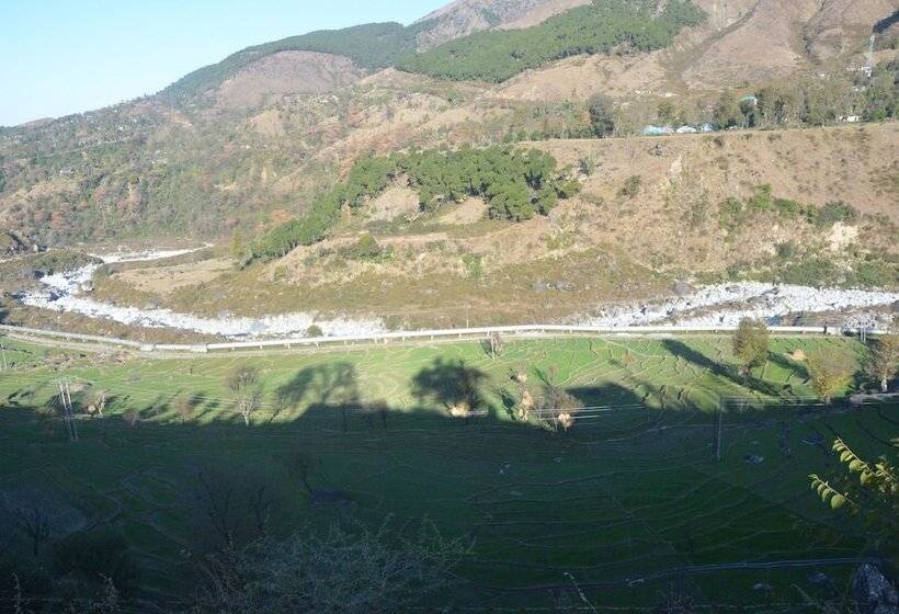 هتل Royal Green Buds