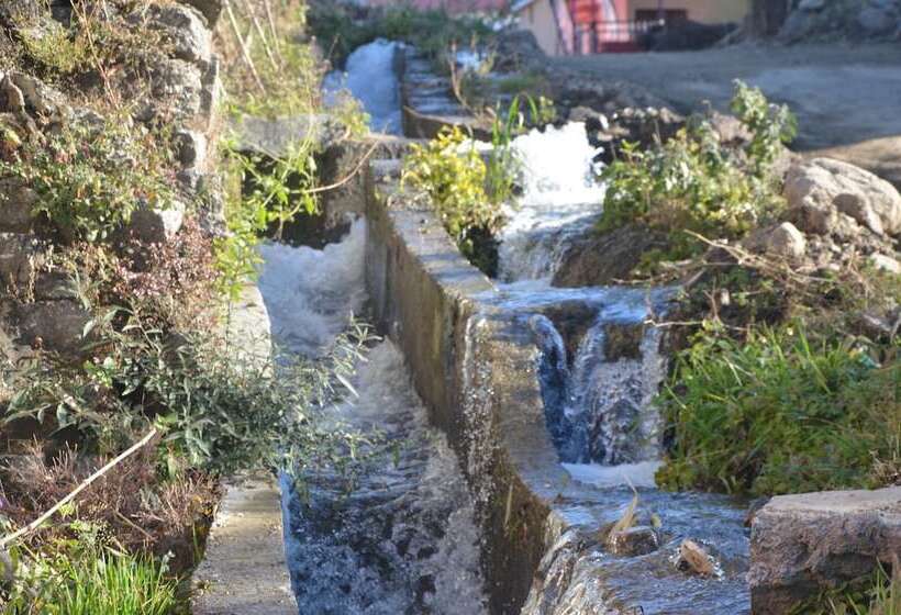 هتل Royal Green Buds