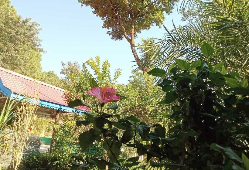 هتل Royal Green Buds