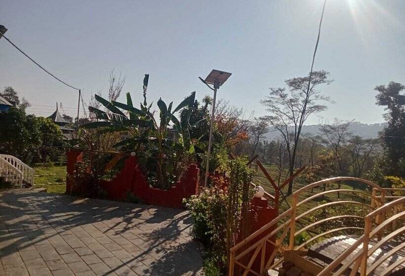 هتل Royal Green Buds