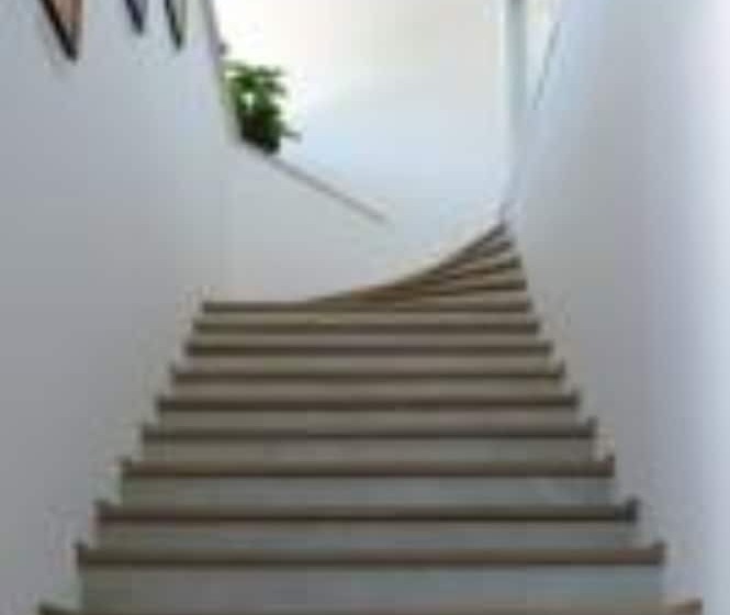 פנסיון Sanskriti