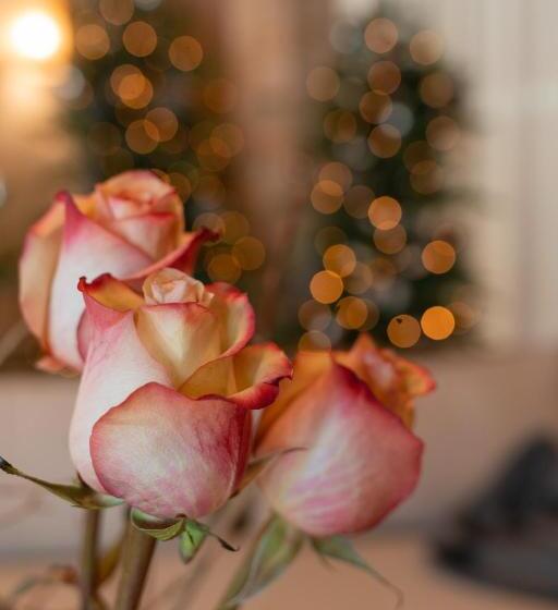 צימר Borghetto San Biagio Relais Agriturismo