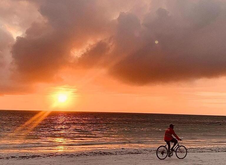 Gadea Boutique Hotel& Gadea Garden Italian Restaurant