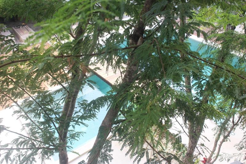 Little Gem Hotel Tulum La Veleta