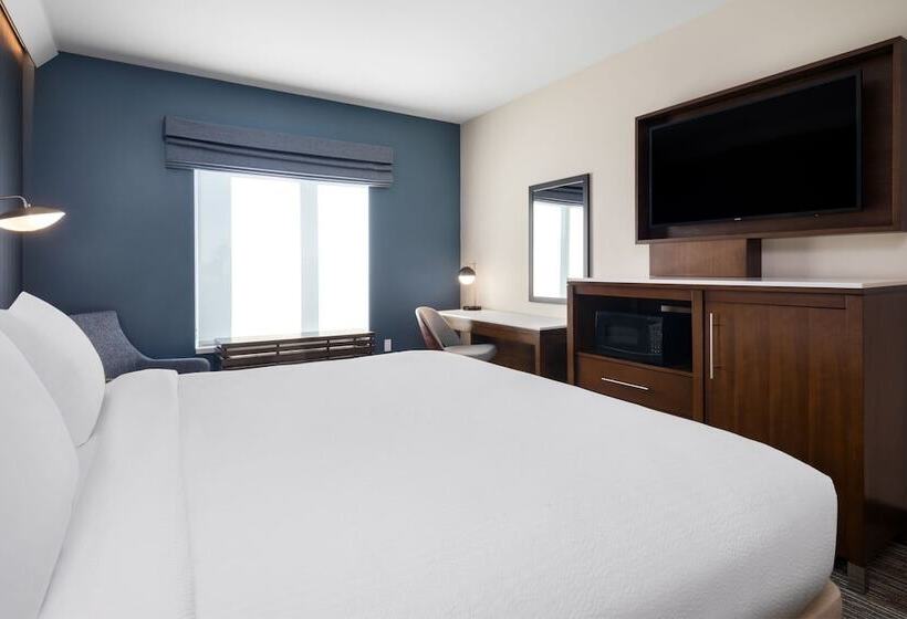 酒店 Courtyard By Marriott Seattle Seatac Airport