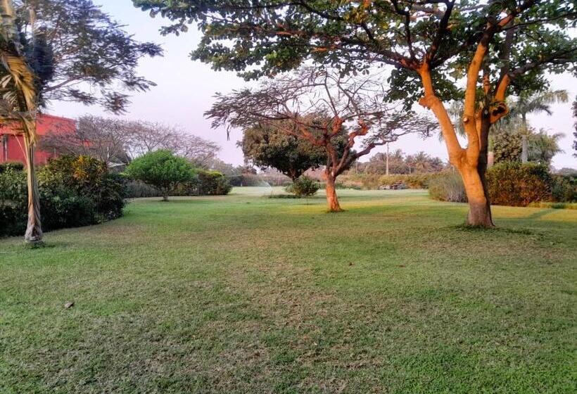 بنسيون Ancha's Oasis