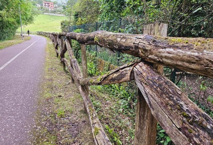 Pension Paloma   Oiartzun