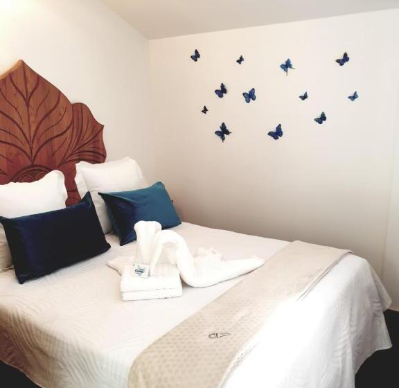 Pension Paloma   Oiartzun