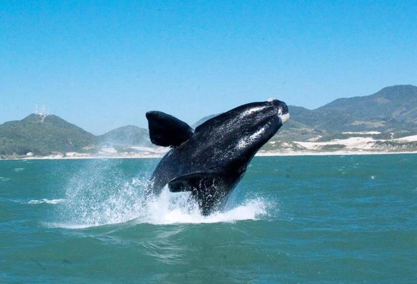 ペンション Pousada Mevlana Garden