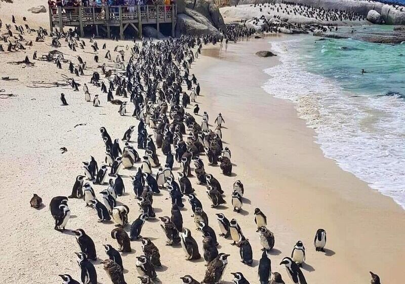 1 Mountain Rd Boutique B & B