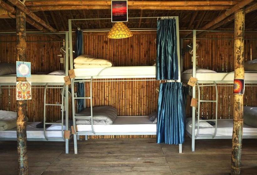 هاستل Woodstock Jungle Camp