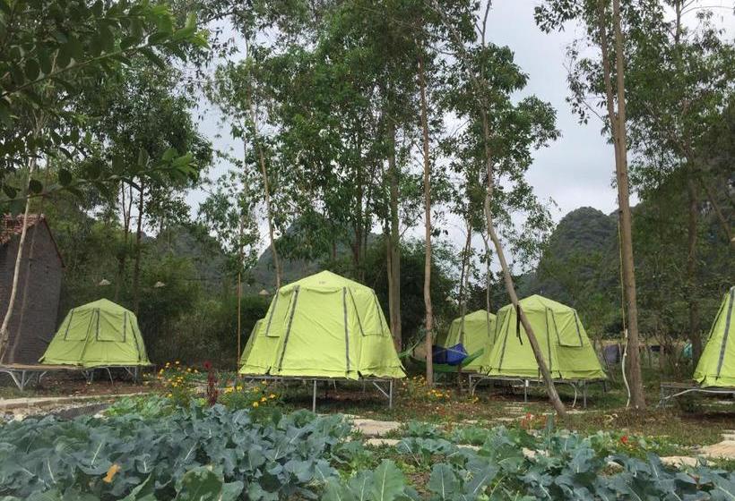 هاستل Woodstock Jungle Camp