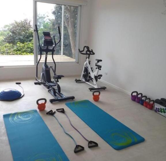 Aves Hotel Montezuma