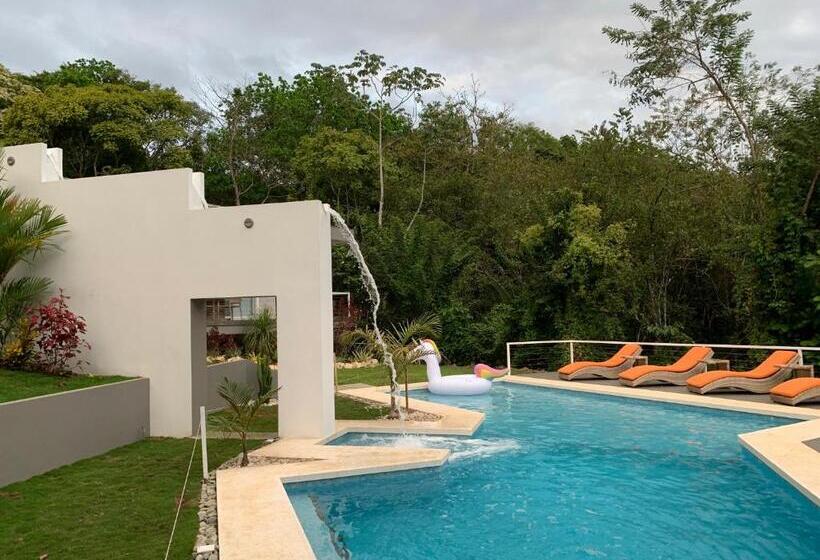 Aves Hotel Montezuma