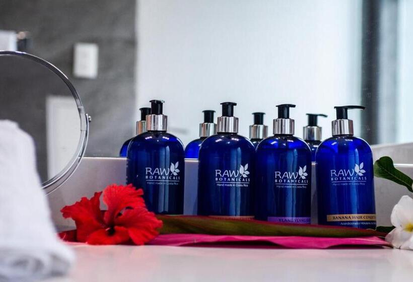 Aves Hotel Montezuma