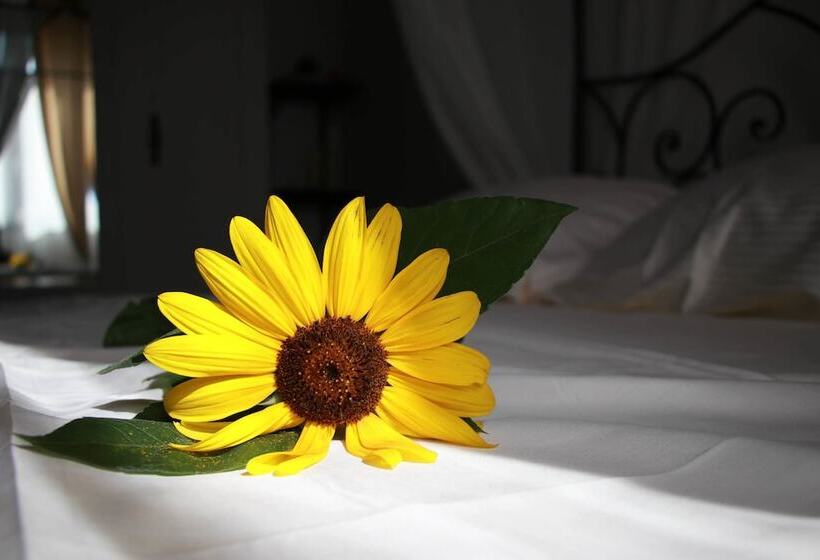 B&b Castello Di Cavaione