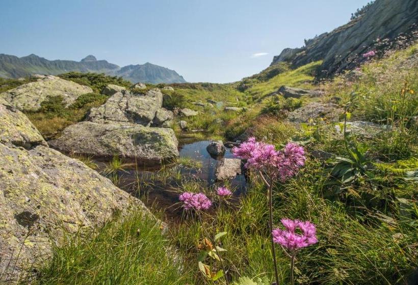 فندق Bradabella   Montafon