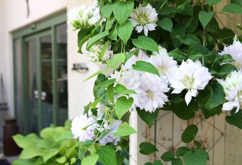 בית מלון כפרי Hakuba Moegi