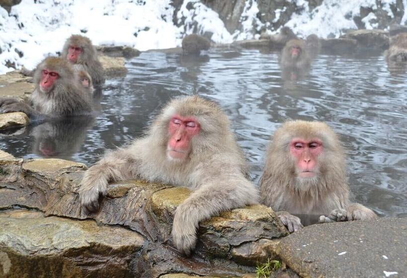 בית מלון כפרי Hakuba Moegi