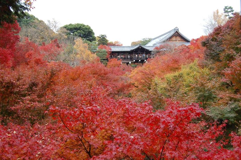 هتل Keihan Kyoto Ekiminami