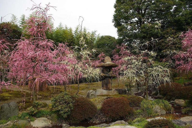 هتل Keihan Kyoto Ekiminami