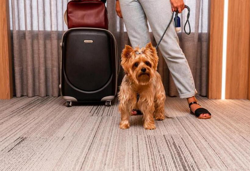 酒店 Mercure Itajai Navegantes