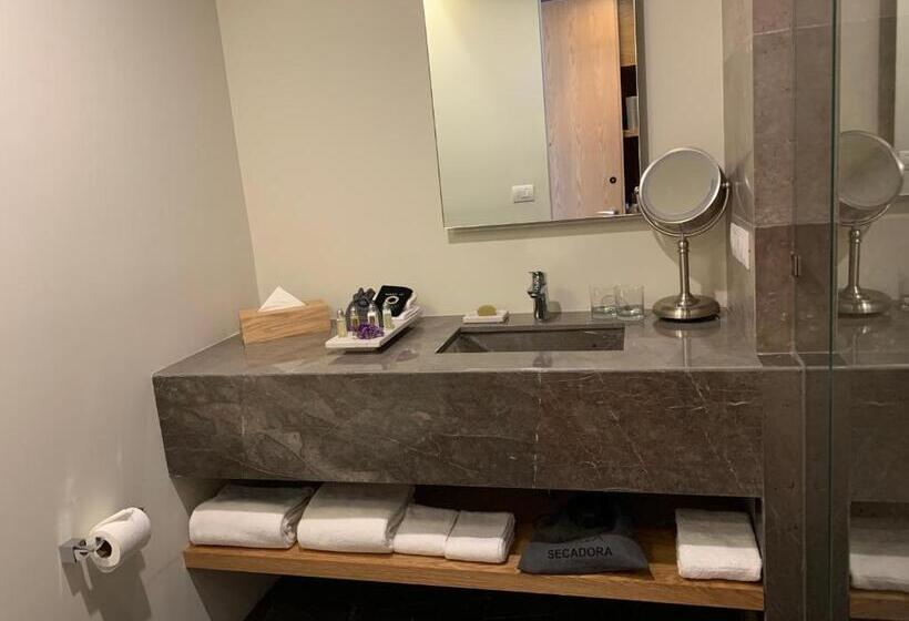 Отель Mexico Plaza Queretaro